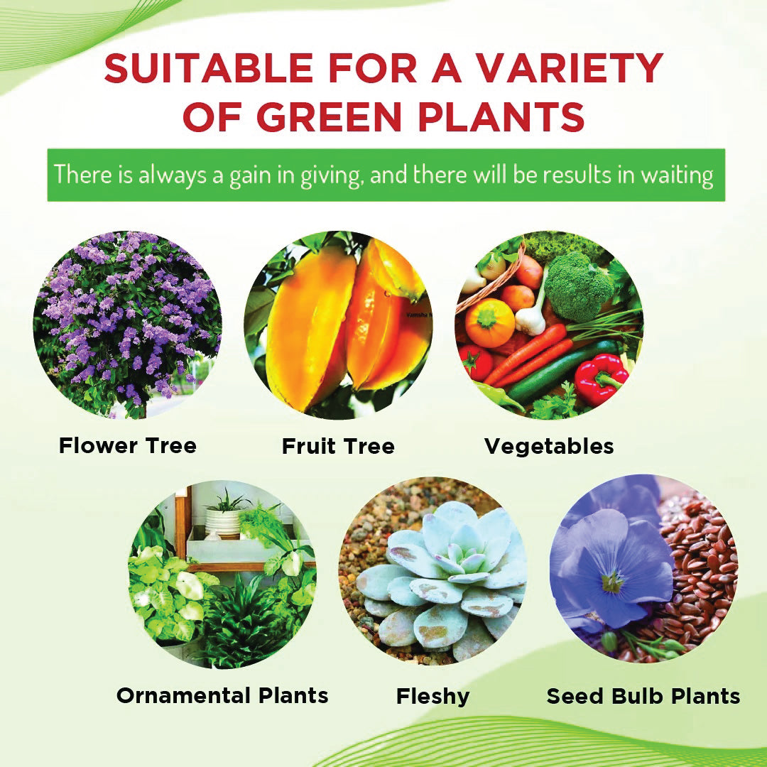🌱 Plant Power Boost™ – Organic Growth Formula ✅ (Pack of 4)